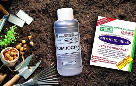 ����� � ����: ��� ������������ ������� ������ ������