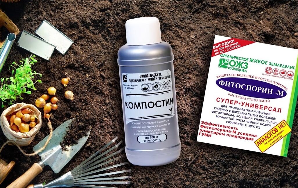 Осень в саду: как биопрепараты помогут вашему урожаю