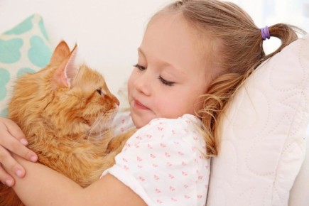 10 пород кошек, которые станут идеальными компаньонами для семей с детьми