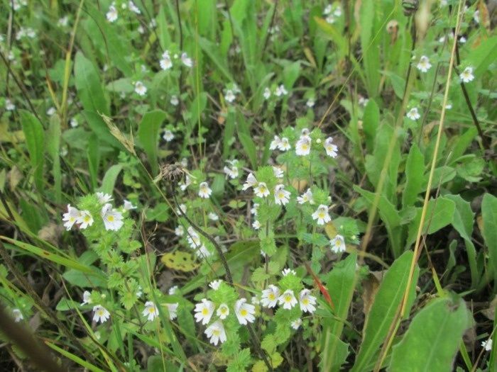 ������: ������������ ����� � �������� ���������� � ������������ �������������