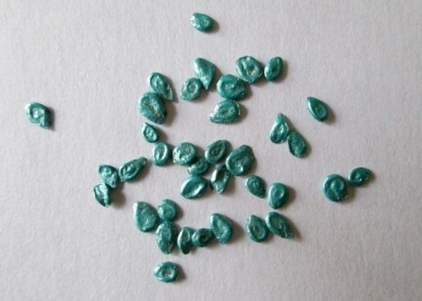 ��� ��������� ����������� ������ ������� � ������: �������� ������ ��� ��������� ������