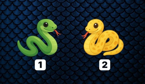 ��� �������� � ��� ����� ����������: �������� ������ � ������� �������� �����