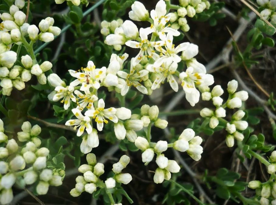 ���������� ���������: ����-������� ������ ������� � ������� �� ����� ����