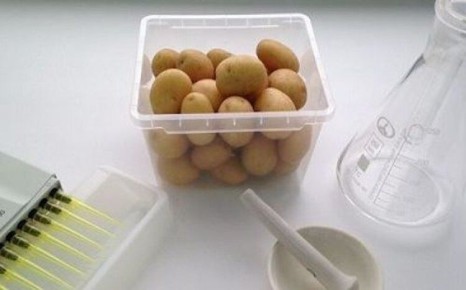 �������� ��������� � �������� ��� �������: ���������� ����� � ����� ������