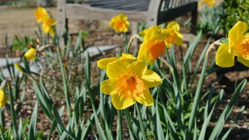 ������ ������ � ��������� ����� ��� ������� ���������