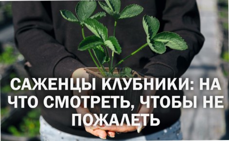 ��� ������� ��������� ������� ��������: ������ ��� ���������� ���������