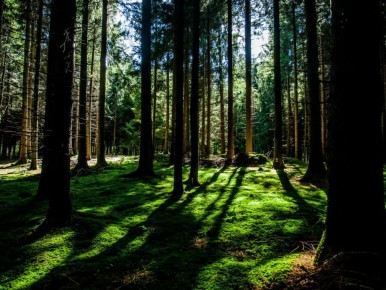 �������: ������ ����������� �� ����� ������������