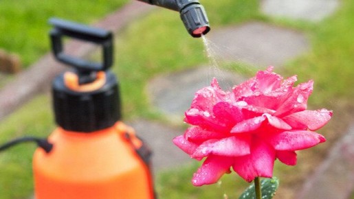 ����� ������ ������������� ����: ������� ��������� ����� �� ��������� ����