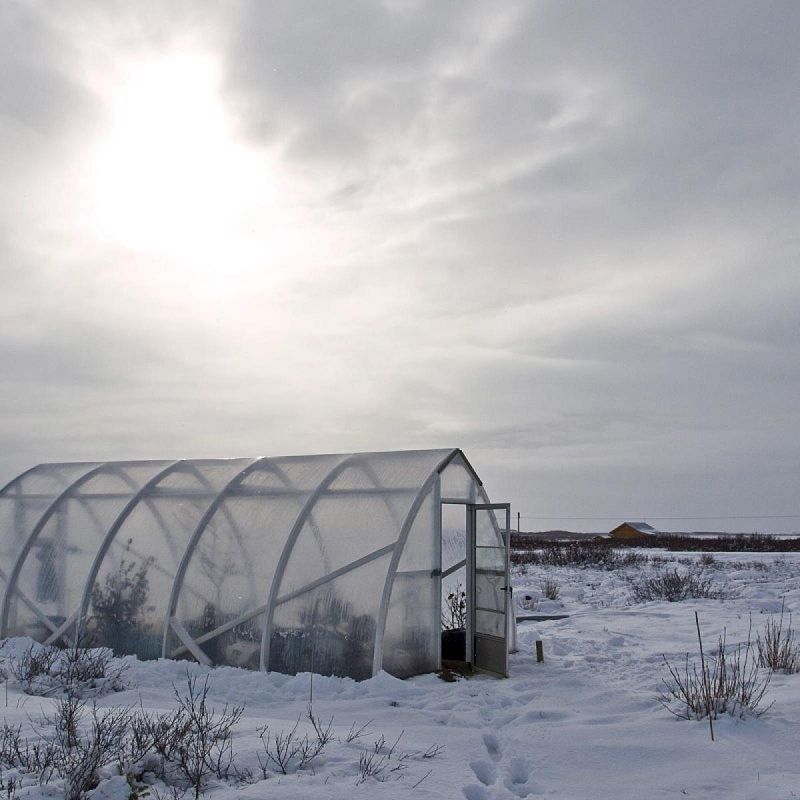 ��� �������� �������� ������: ������� �������� ��������� ��� ����