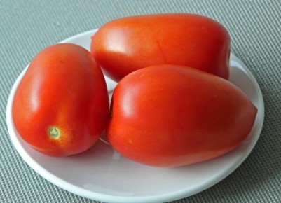 ��� ��������� ������ ������ ������� ����: ������� ������