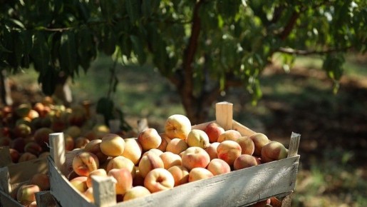 ����������� ������ ��������� �������� ��������: ��� ����� ����� ���������