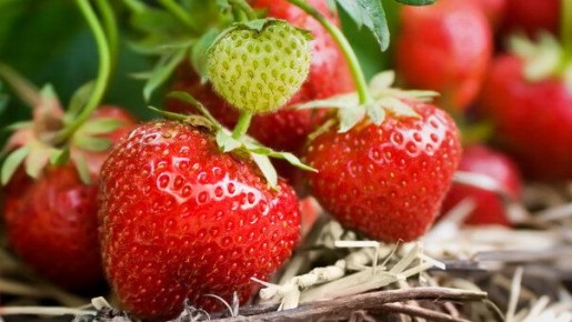 ��������� ������ �������� � ������� �������� ���������