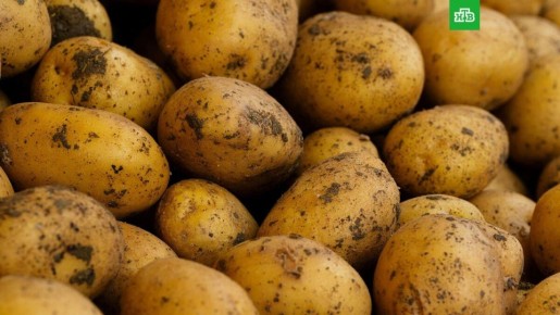 ��� ������������� ��������� ����� ������ �� ���� �������