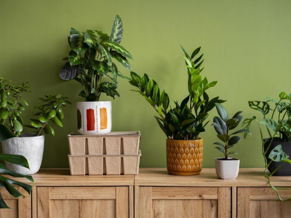 ������ ��������� �������� � ������ ��������� ��� ������� ������� � ����