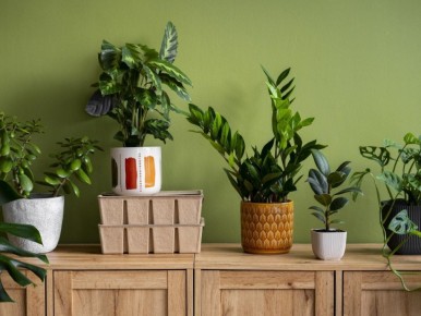 ������ ��������� �������� � ������ ��������� ��� ������� ������� � ����