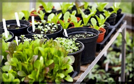 ���� ��� ���������� ������: ����� � �����, ������� ����� ������ � ���� ������