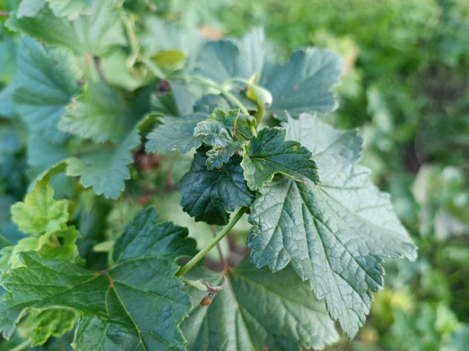 ��� �������� ������ �� ��������� ��������