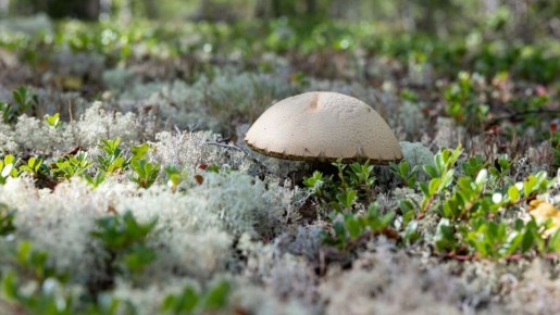 � ��������� ������ ��������� ����� � ������� ����