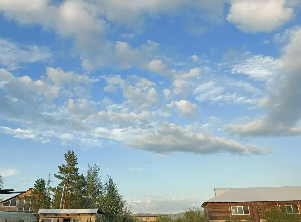 Как дождь и солнечные дни влияют на урожай: истории с огорода