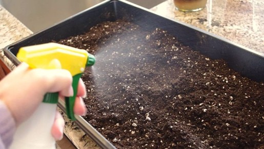 ���������� �������: ������ ������������ �� ������ �����