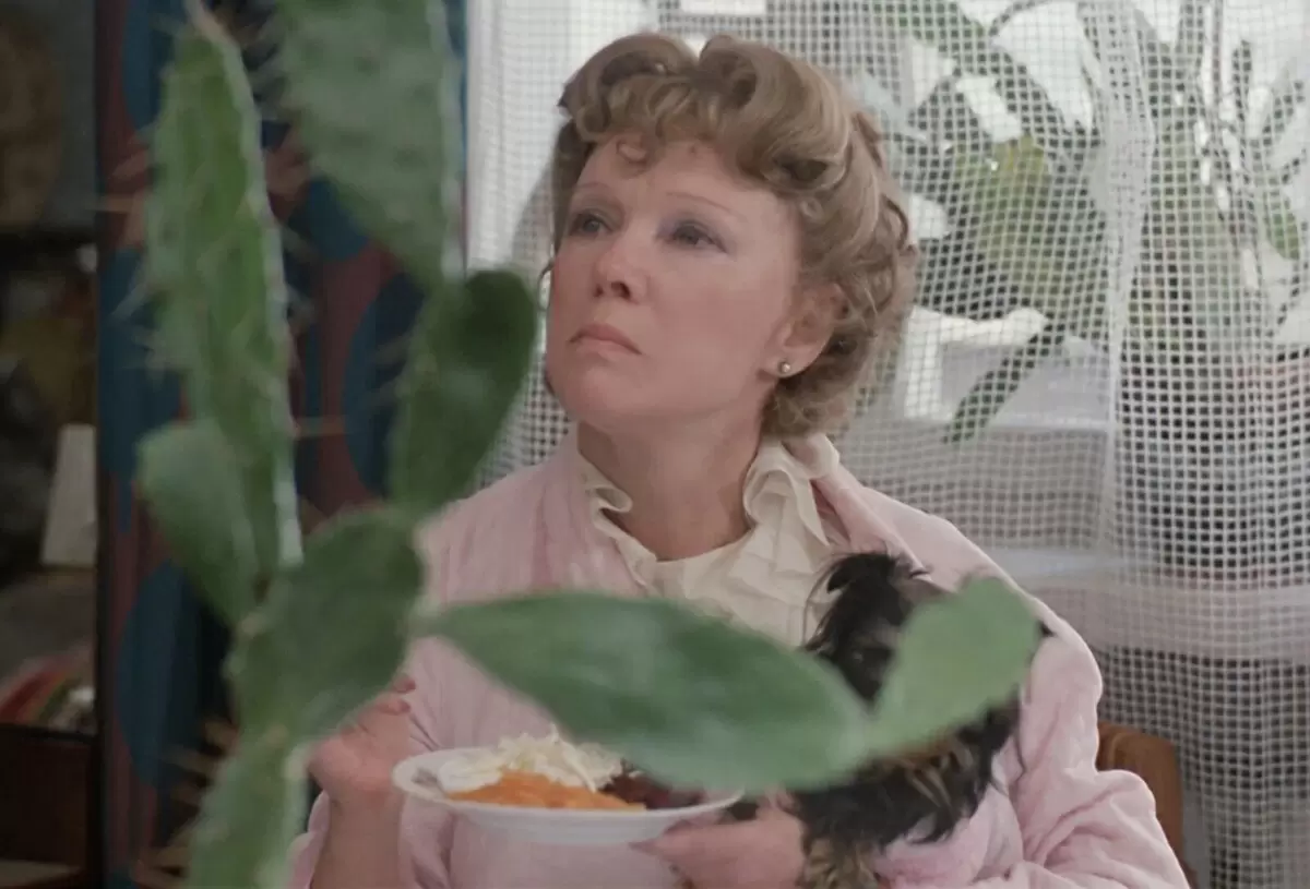 Как мясной салат мог изменить историю: кулинарное воображение по мотивам «Любовь и голуби»