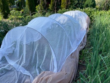 ��� ������ �������: ��� �������� ��� ��������� ����������� �������