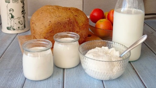 Возвращение к натуральным традициям: как приготовить греческий йогурт, кефир и сыр в домашних условиях
