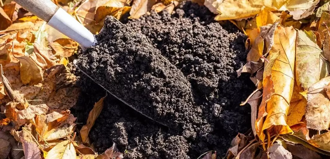 Азот в осенних удобрениях: разрушение мифов и новые подходы