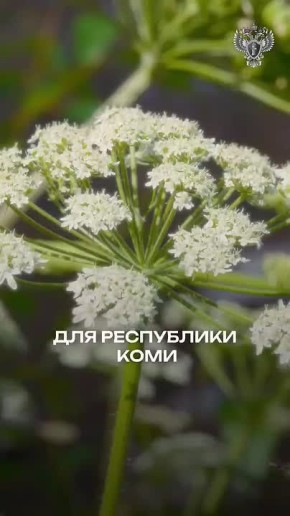 ����������� ������������� ������ ���������� �������� � 1 ����� 2026 ����