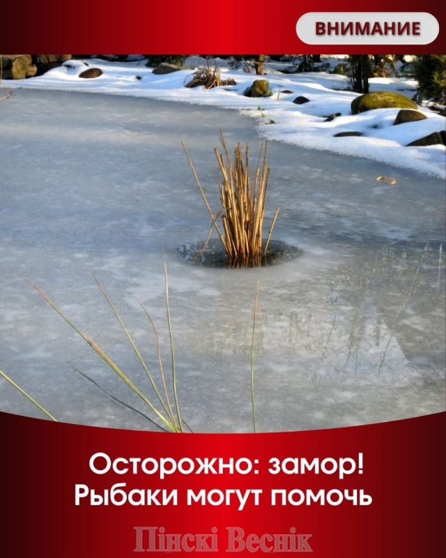 ����� ����: ��� ����� ����� ������� ���� ����