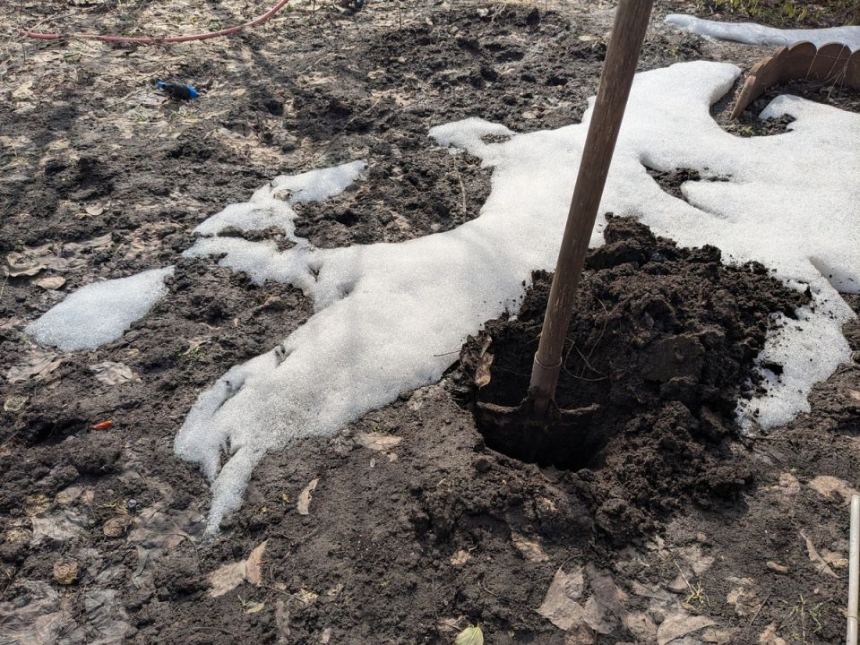 ������ ����� �� ����: ��� ��������� ����� � ������� � ����������