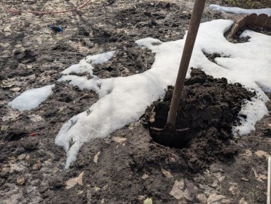 Первый визит на дачу: как встречают весну с цветами и сюрпризами