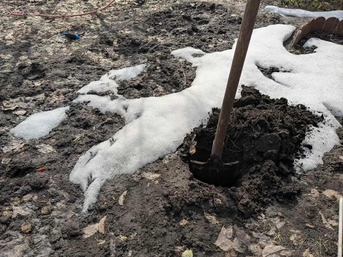 Первый визит на дачу: как встречают весну с цветами и сюрпризами