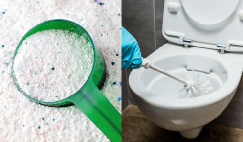 ��������� ������� ��� �������: ��� ���������� ������� �������� ������ ��� ������