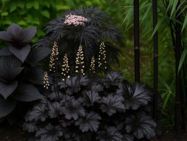 ������ ������ � ����: ������� �������� ��������� ���������