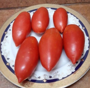 ����� �������� �������: ���������� ����� ��� ��������� ������ ������� � �����������