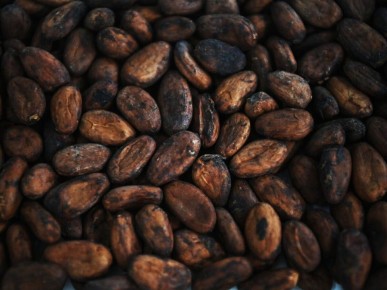 �����-���� ����������: ����� �� ��������