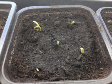 ������ �� ����� �� ��������: ����� � ��������� �� ������