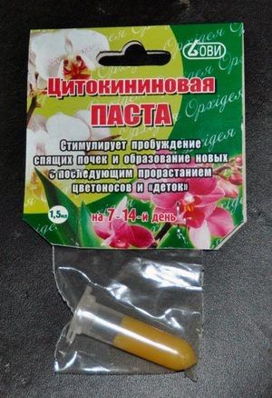 ������������� �����: ������ �������� ������� � ������ ��������� ��������