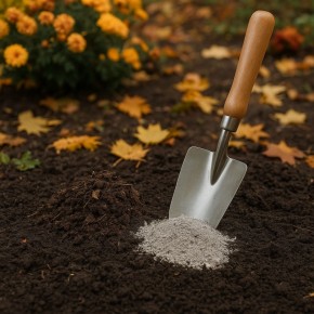 ��� ��������� ����������� ������ � ����: ������� ������� ��������