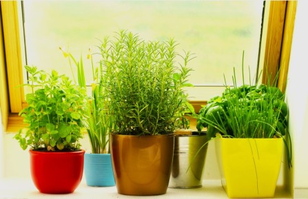 ������ �� �����������: ��� ��������� ������ � �������� ����� ����