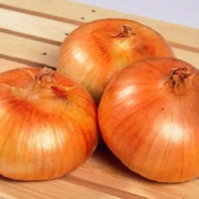 ��� ���: ��������� ����� ��� �������� ������ � ������� ��������