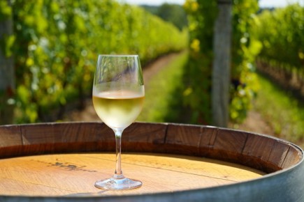 ��������������� ���������: ���������� ��������� � ������� � ���� ���