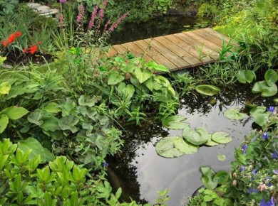 ��� ����������� ������ �� ��� ���: �������� �������