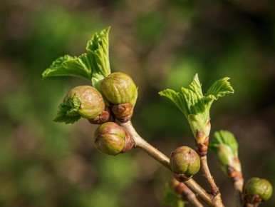 ��� �������� ��������� ����� �� ���������