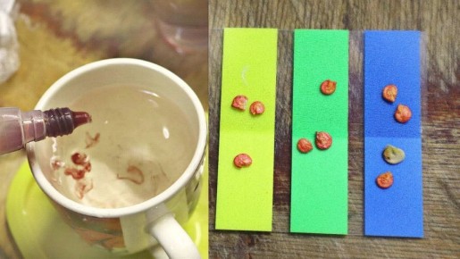 ��� ��� �������� �������� ������ ����� � ���������: ����������� ������