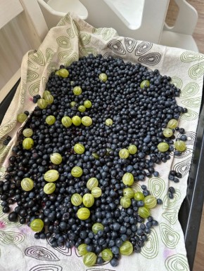 ��������� �� ����: ��� ��������� �������� � ����