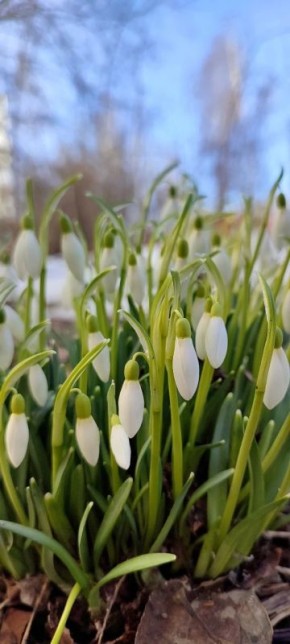 ������ ����! �������, 25 ������, � ���������� ����������� �����: +1...+3 �C, ����: +7...+9 �C