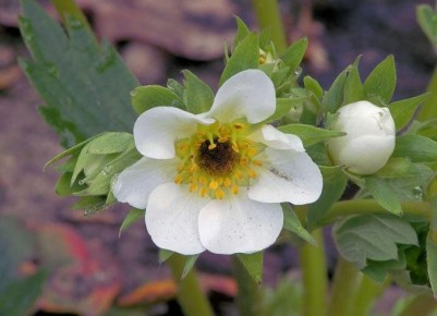 ��� ����������� ��������� ��������� ����������� ���� ��������