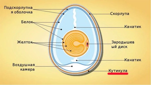 ������ ������� ���� ������ ���� ����� ��������������